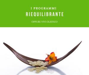 Rebalancing program