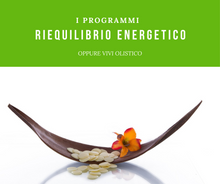 Load image into Gallery viewer, Energy rebalancing program